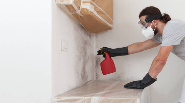 Professional Crawl Space Mold Remediation technician working in Lebanon, IL