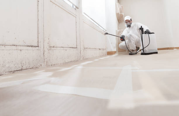24/7 Emergency Crawl Space Mold Remediation experts in Lebanon, IL